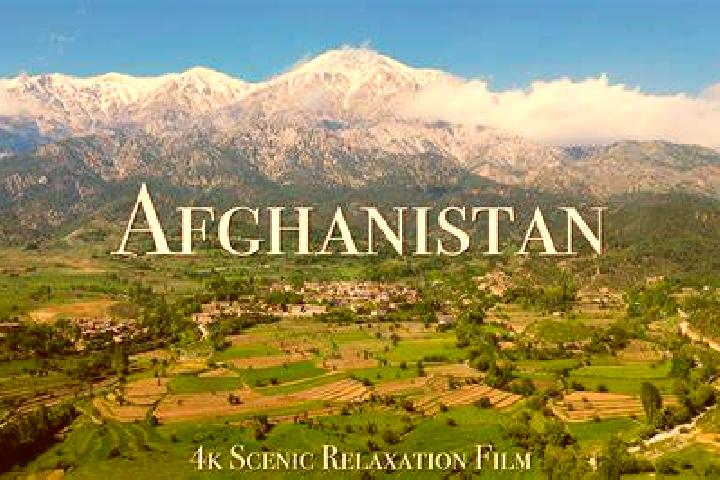 20 Christmas Fruits slot game