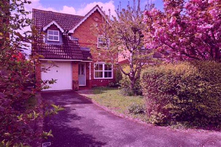 Apokalipsia Latina slot machine