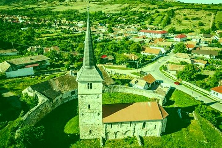 Cat Mansion (Ninja Gaming) slot machine