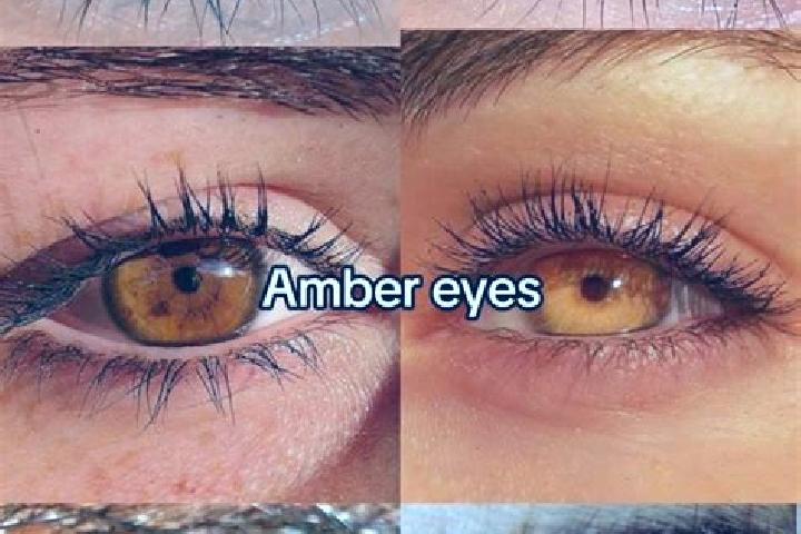 Dice (Tower.bet) slot