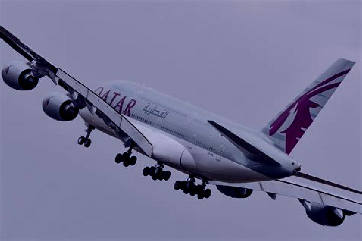 Divine Lotus slot