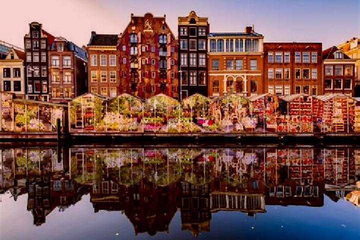 Dragon VS Tiger slot machine