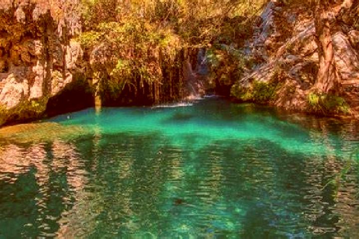 Fire Company 5 slot