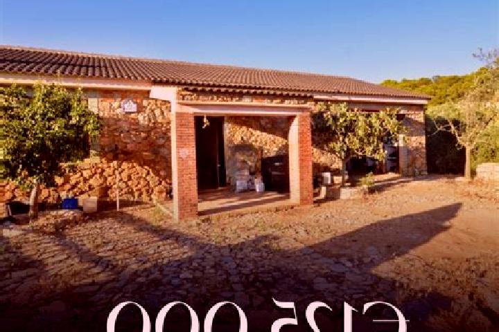 French Roulette (Games Inc) slot