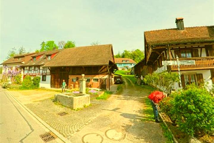Golden Toad Fish slot machine