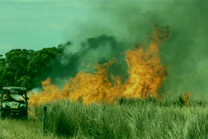Mini Baccarat Live slot machine