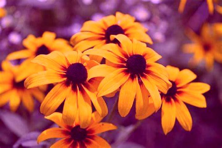 Mysterious Hieroglyphs (Reel Respin) online slot