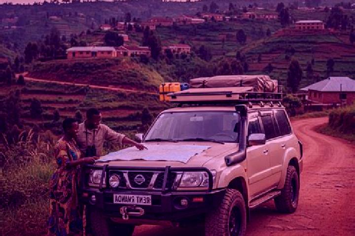 Raccoon slot game