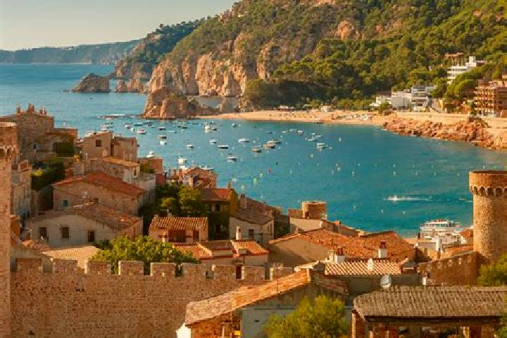 Turtle and Phoenix (3x3) slot game