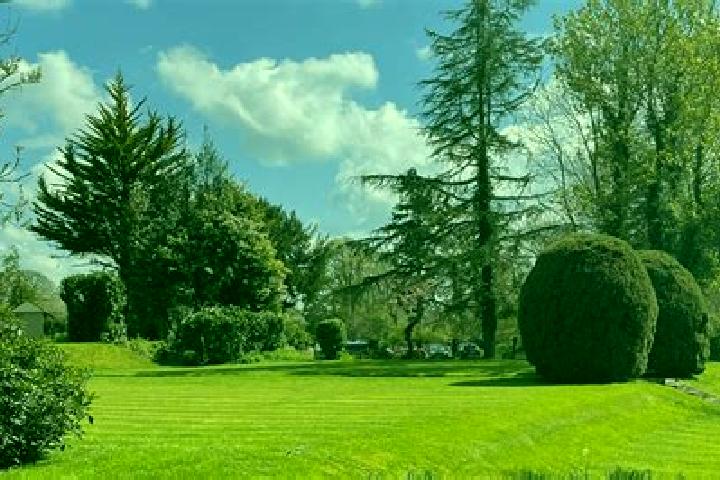 Virtual Tiger Baccarat slot game