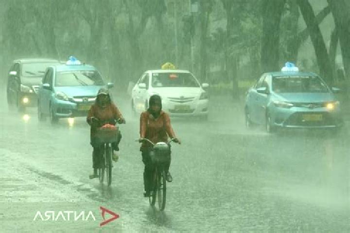 Wild Carnival slot machine