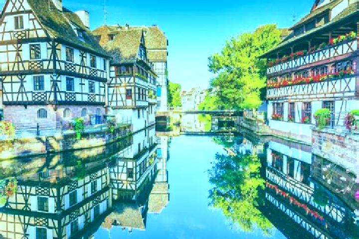 Wild Velvet slot